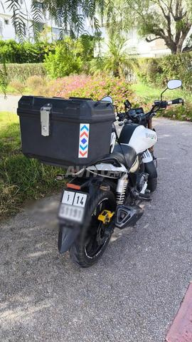 Benelli VLX - 2