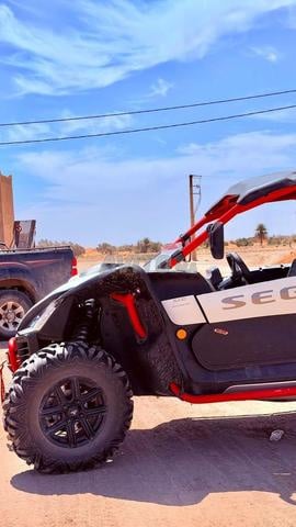 Buggy Segway - 2
