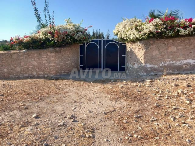 🌟 Domaine TITRÉ 8676m² Lahrarta Essaouira Terrain Titré - 2