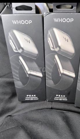 ووب 5.0 جديد مع 12 شهر اشتراك