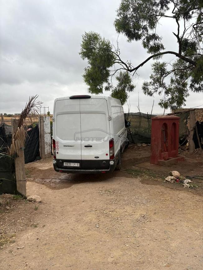 ازمور الجديدة