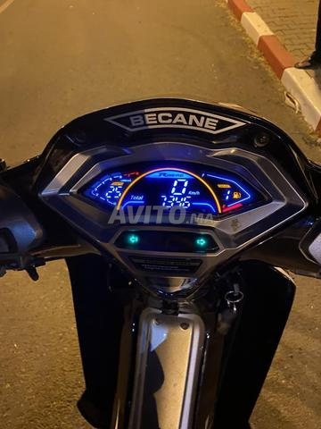 Scooter 33 2024 - 2