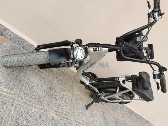 Rad Power Bike Plus 48V - 2