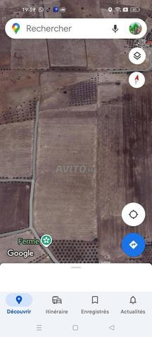 Terrain agricole à vendre 14 hectares - 2