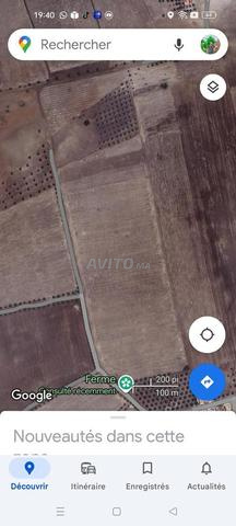 Terrain agricole à vendre 14 hectares - 2