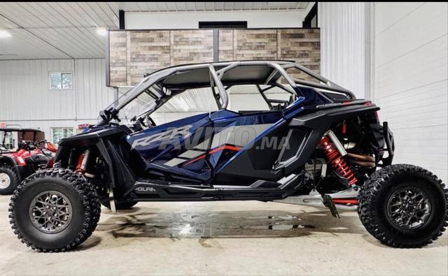 Quad buggy - 2