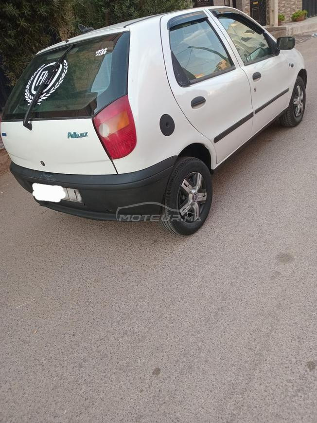 fiat palio 