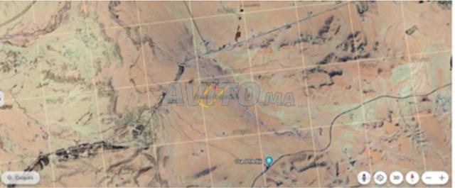 VENTE DE TERRAIN AGRICOLE AUX ALENTOURS DE OUJDA - 2