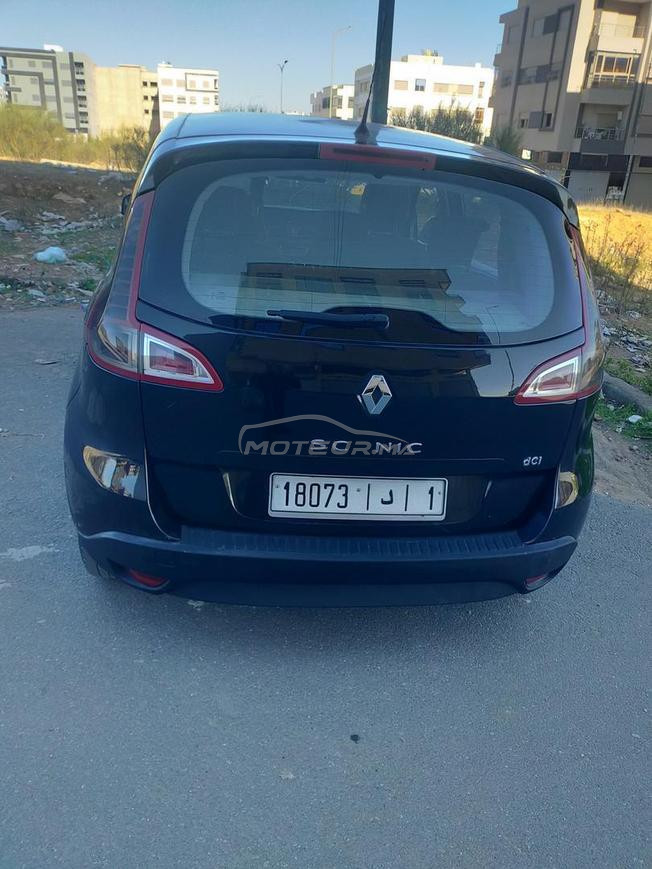 Roneau sinique