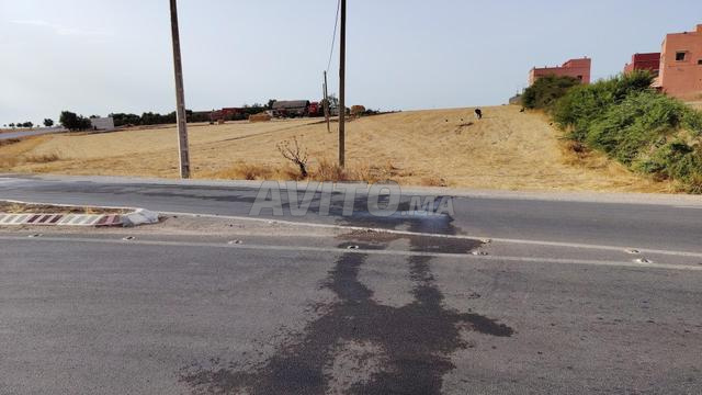 2.56 ha titré sur la route à toualaa Benslimane