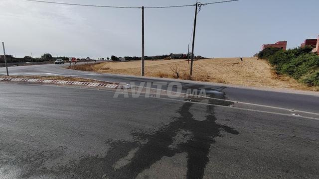 2.56 ha titré sur la route à toualaa Benslimane - 2