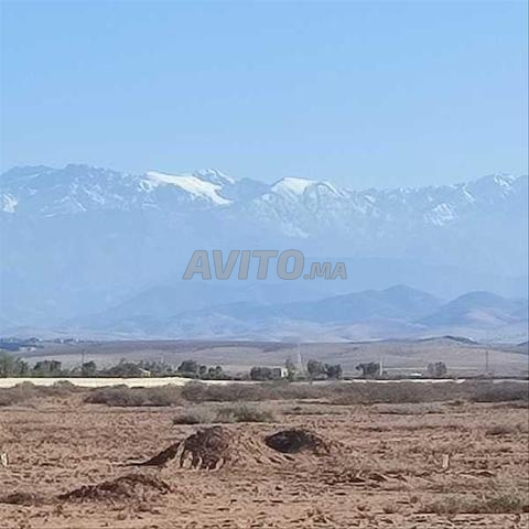 77094-بيع أرض في مراكش طريق أمزميز - 2