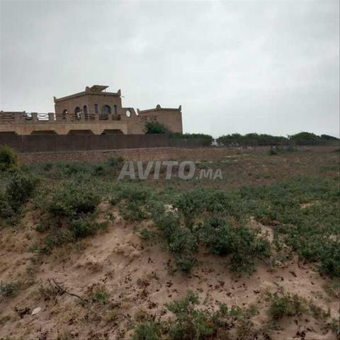 123568-Vente Terrain à Essaouira Des Dunes de 1018