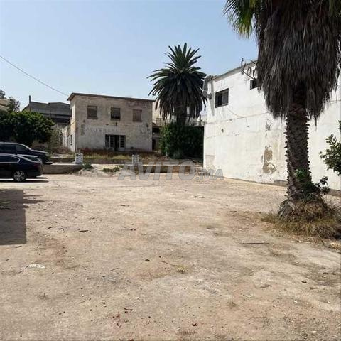 19989-Vente Local à Casablanca Ain Sebaa de 2636 m