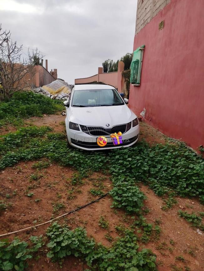 Skoda Octavia Diesel Manuelle 2018 à Agadir