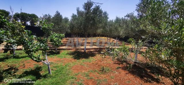 مزرعة رائعة للبيع 2221 متر مسجلة ومحفظة - 2