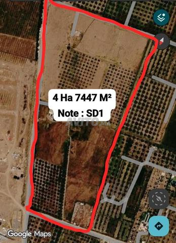 Bonne Affaire Terrain Zone SD1 Route Tahanaout