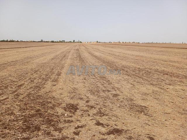 Terrain agricole de 3 hectares pour ferme - 2