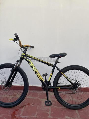 Bikara Kadra 27.5 - 2