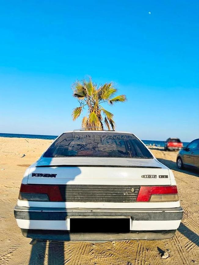 405  موتار جنيور