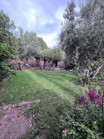 Villa à louer par nuit pour famille seulement - 2
