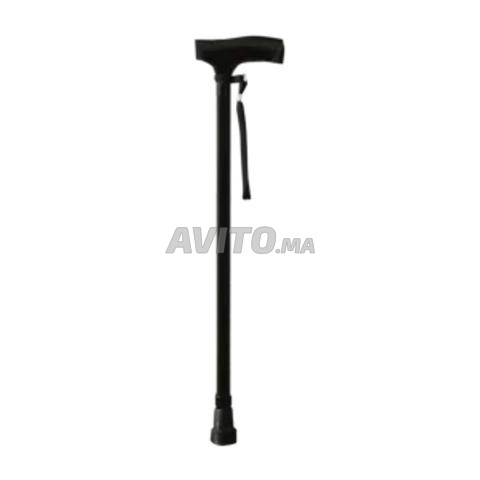 CANNE EN ALUMINIUM NOIRE - 2