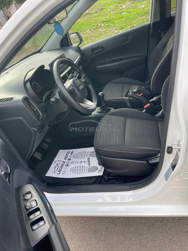 kia picanto 2023