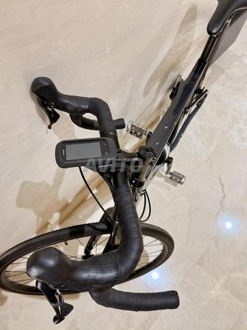 Cannondale Topstone Carbon - موديل 2024 - 2