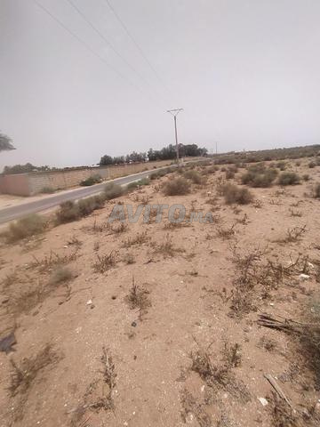 الطريق بين دوار تكاد واحشاش سيدي بيبي - 2