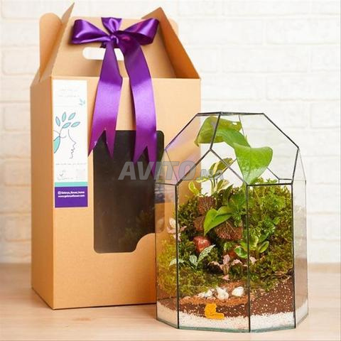 تيراريوم زجاجي - ديكور طبيعي - 2