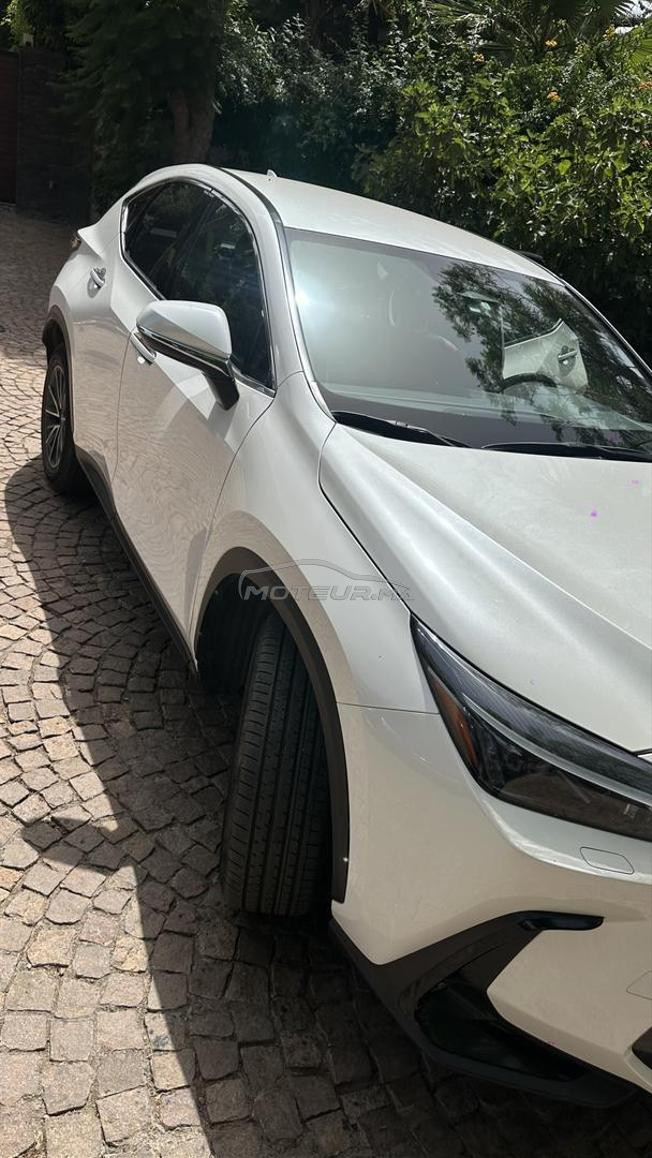 lexus NX350h 