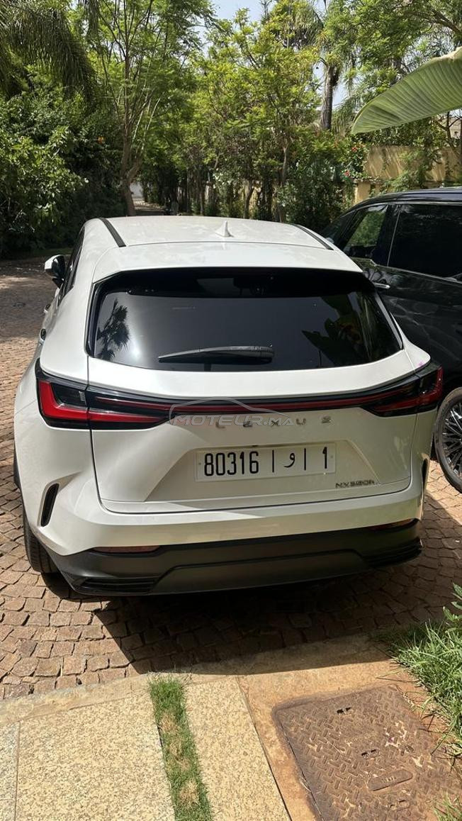 lexus NX350h 