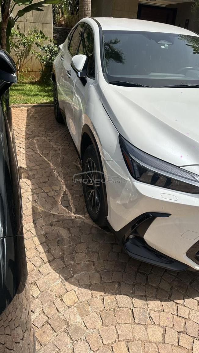 lexus NX350h 