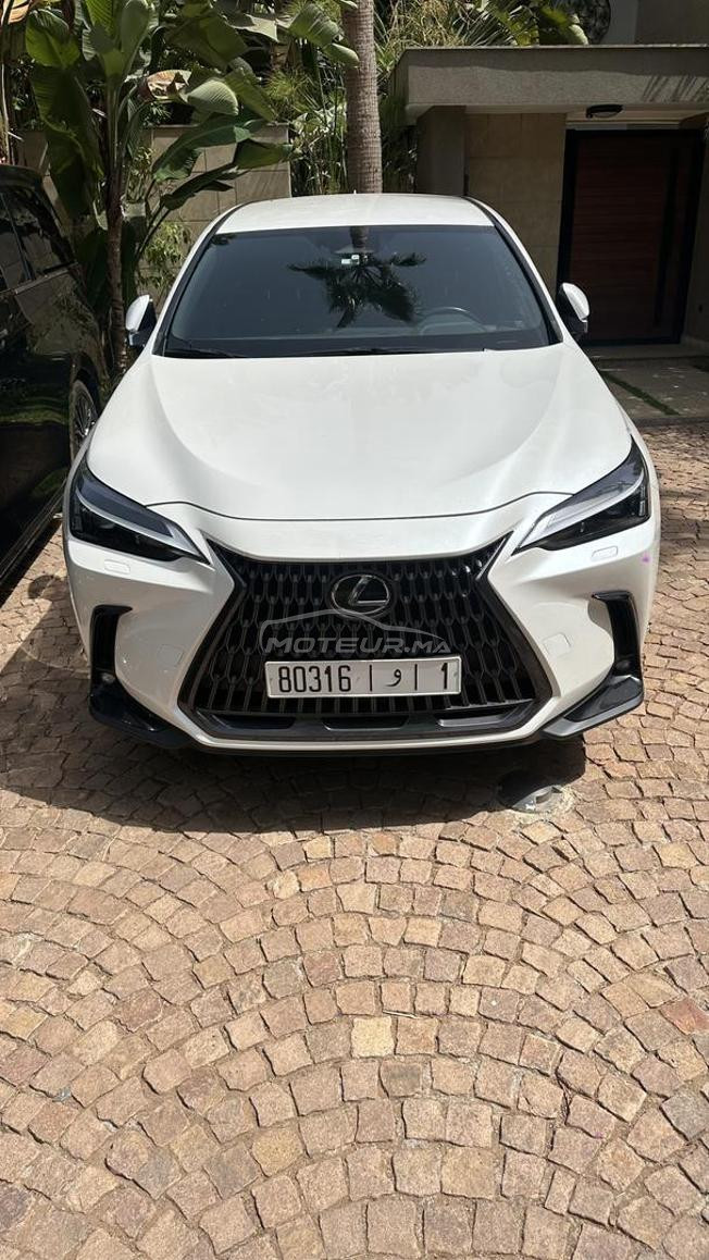 lexus NX350h 