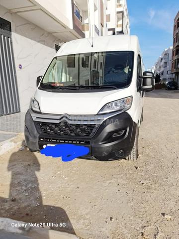 لا سمسار لا نسب لا