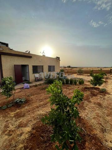 Ferme de 4000m² - 2