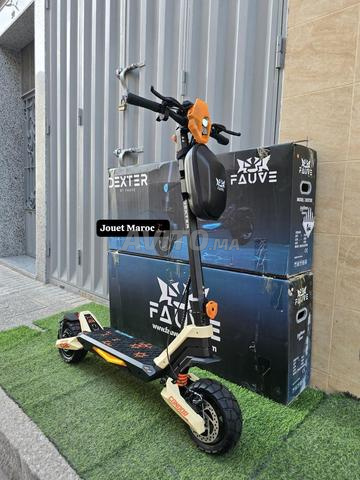 سكوتر كهربائي ECOXTREM DEXTER G2 - 2