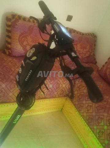 أصيلة طنجة أصيلة