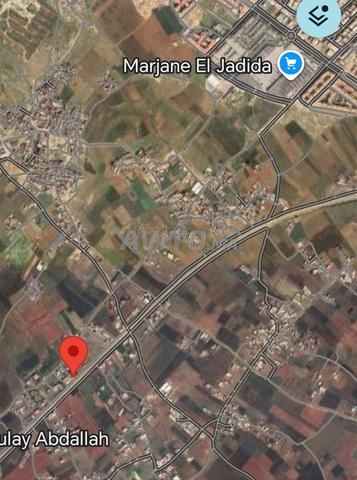 Terrain agricole de 550 m2 - 2