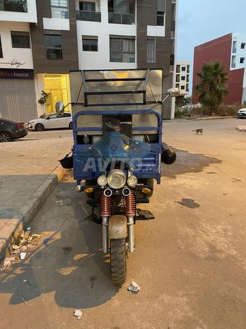 بوسكورة أندلوس - 2