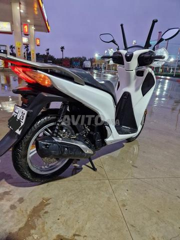 Moto Orika Exacte El Akrab - 2