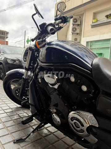 هارلي ديفيدسون فيرود - VROD - 2