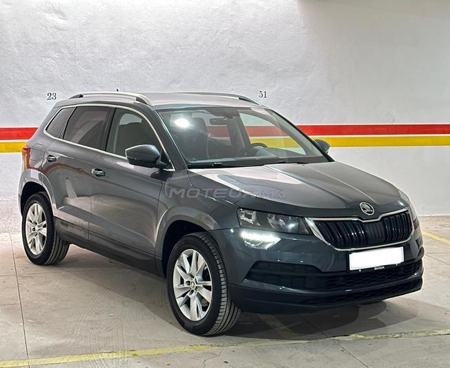 Skoda karoq 2021