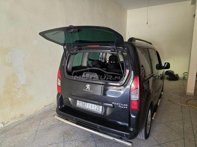 Peugeot tepee 