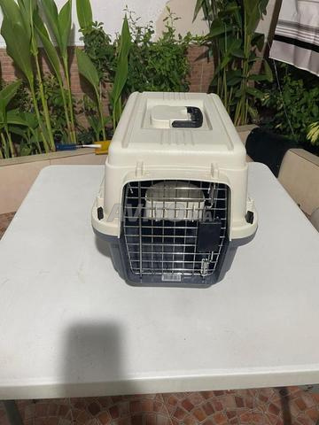 Cage de voyage homologué pour Avion - 2