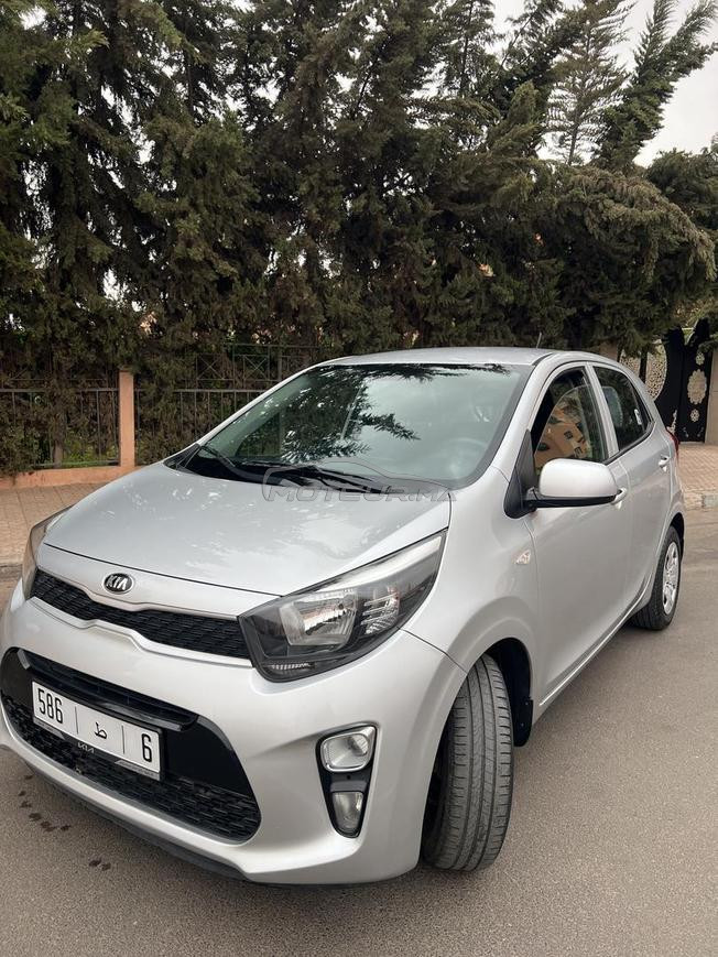 Kia picanto