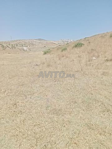 أرض للبيع 60م² - 800 درهم/م - طنجة - 2