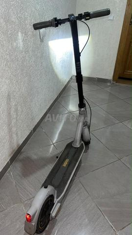 سكوتر ناينبوت - 2