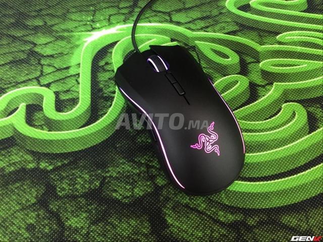 Souris Razer Tournament Edition, quelque chose de propre - 2