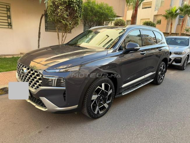 Santafe 4x4 ultimate 1er main peinture original 7P